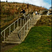 Scott Macdonald Photo 35