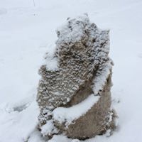 Joseph Macdougall Photo 6