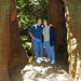 Tracy Wood Photo 5