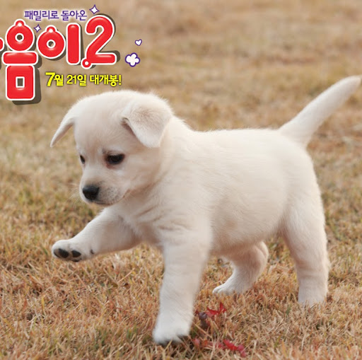Trinh Ha Photo 22