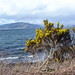Clyde Bush Photo 6