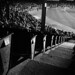 Alan Parrish Photo 40