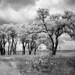 Rebecca Oaks Photo 7