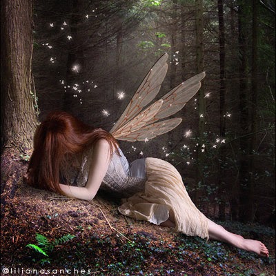 Shannon Walden Photo 33