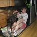 Vernon Kelly Photo 16
