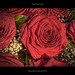 Rose Herrmann Photo 2