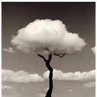 Kenneth Bird Photo 21
