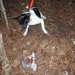 Chester Godwin Photo 5