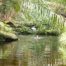 Elaine Batchelor Photo 5