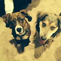 Kelly Hogue Photo 38
