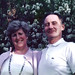 Terry Cunningham Photo 19