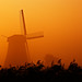 Misty Reed Photo 5