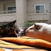 Katina Long Photo 10