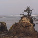 Alexandria Newton Photo 14