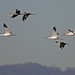 Marty Jackson Photo 12