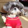 Debra Shay Photo 14
