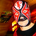 Ned Perry Photo 10