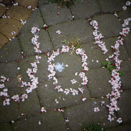 Jean Dunne Photo 10