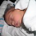 Dianne Taylor Photo 25