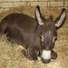 Jessie Busch Photo 2