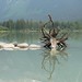 Rocky Goodwin Photo 16