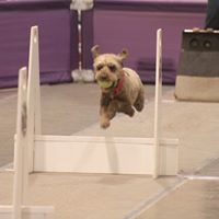 Kimberly Pirtle Photo 12