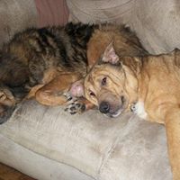 Tracy Clement Photo 10