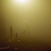 David Hund Photo 6