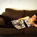 Steven Couch Photo 15