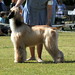 Norma Sutton Photo 23