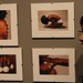 James Gerhardt Photo 29