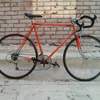 Alejandro Cruz Photo 37