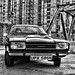 Stanley Ford Photo 7