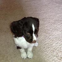 Teresa Gustafson Photo 24