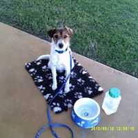 Jill Bradshaw Photo 14