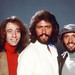 Barry Robins Photo 17