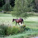 Amy Neighbors Photo 13