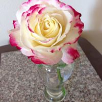Angela Lind Photo 10