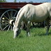 Angel Bozeman Photo 2