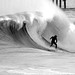 Travis Potter Photo 1
