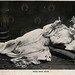 Margaret Ashe Photo 16