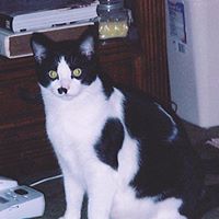 Reva Newman Photo 3
