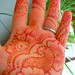 Jamie Mcalpin Photo 15