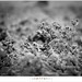 Heather Snow Photo 15