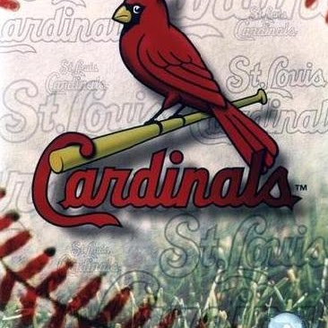Steven Matheny Photo 4