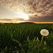 Alice Roby Photo 11