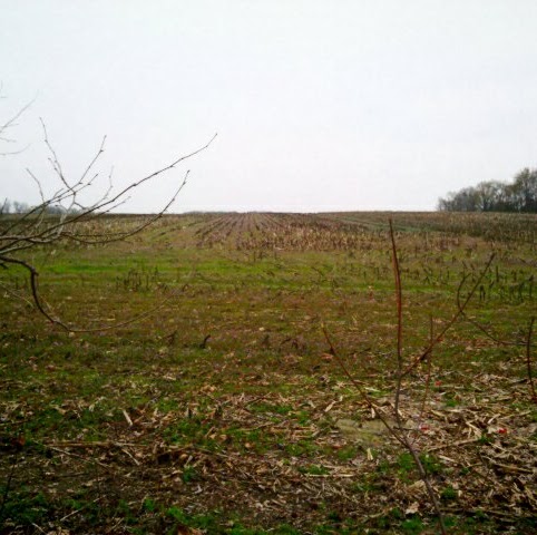 John Ostrowski Photo 33