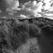 Sandy Moody Photo 15