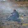 Christopher Oxley Photo 11