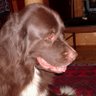 Scott Mathes Photo 9